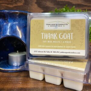 Vanilla Bean thank goat soy wax melts