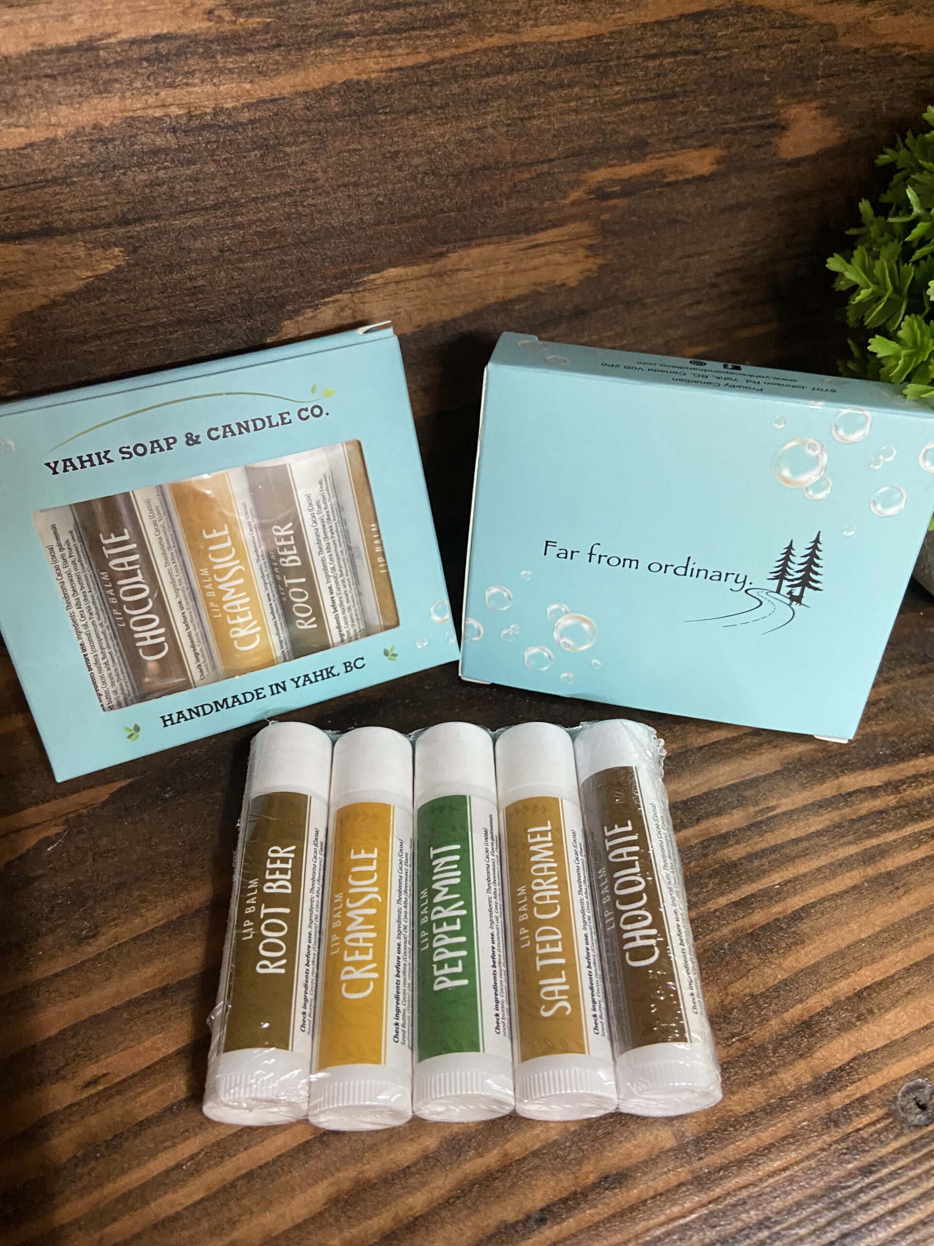 lip balm sweetness 5 pack