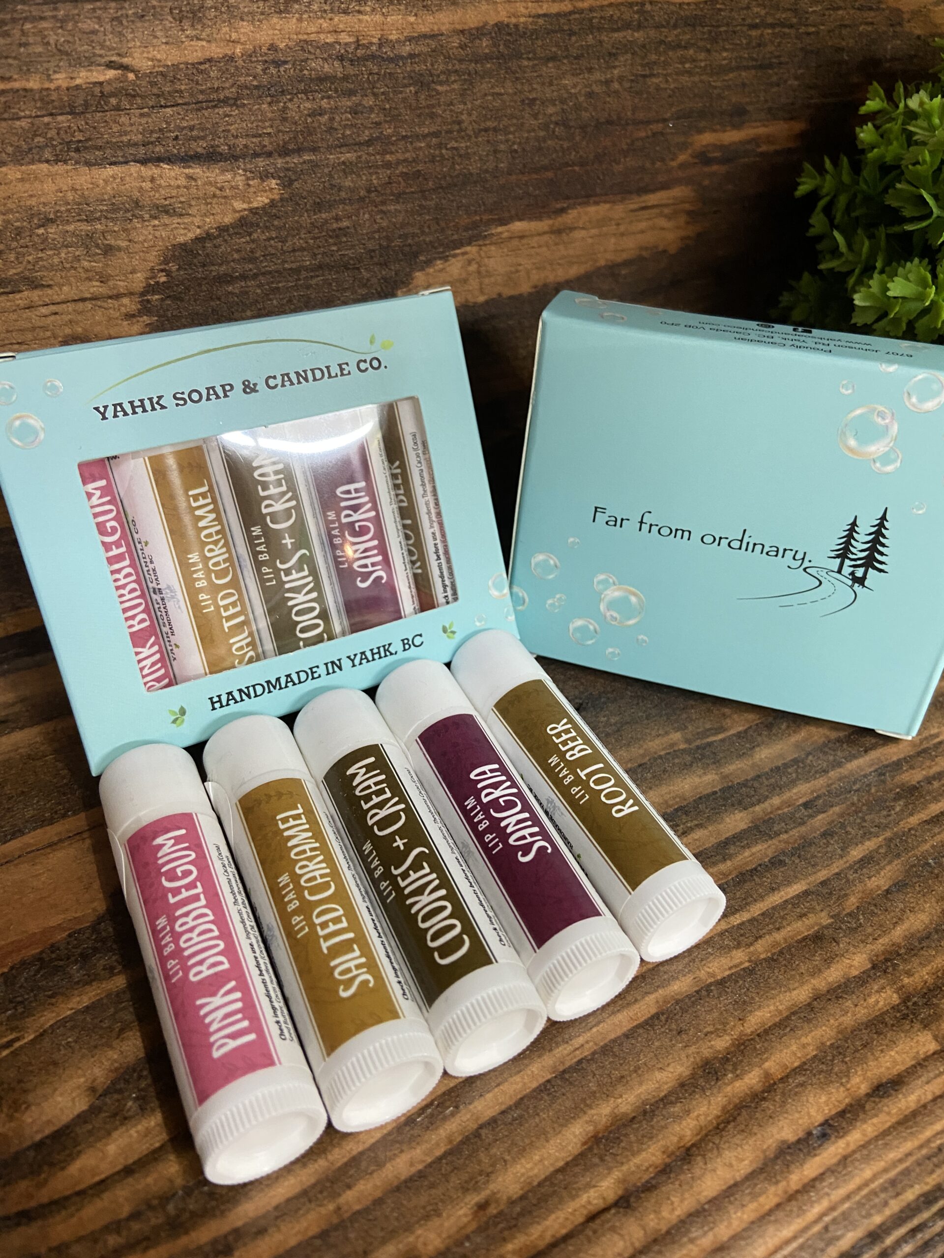 lip balm 5 pack